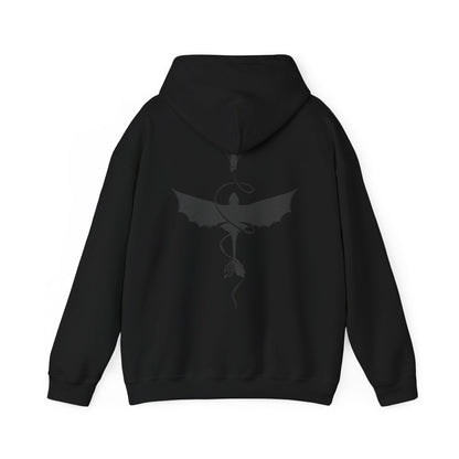 How to train your dragon Hoodie