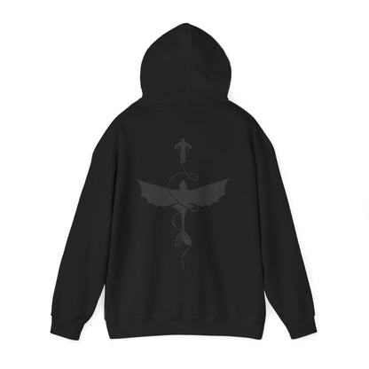 How to train your dragon Hoodie